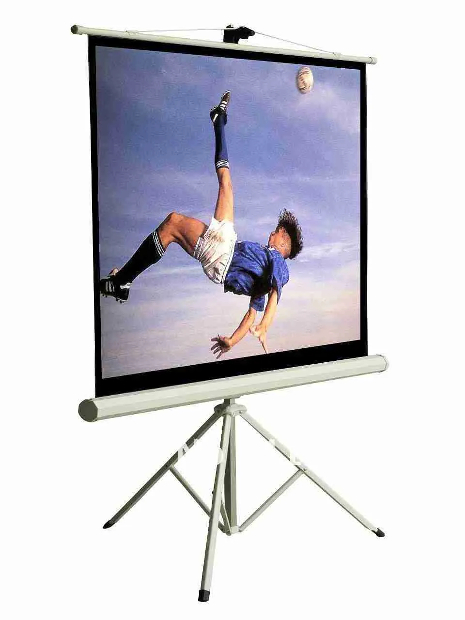 Projector Screen Manual 203 x 203 cm ( 80 by 80 inches)