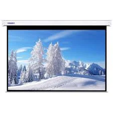 LW EPS -240E - ELECTRIC PROJECTOR SCREEN 240 x 240 CMS (94 by 94 inches)