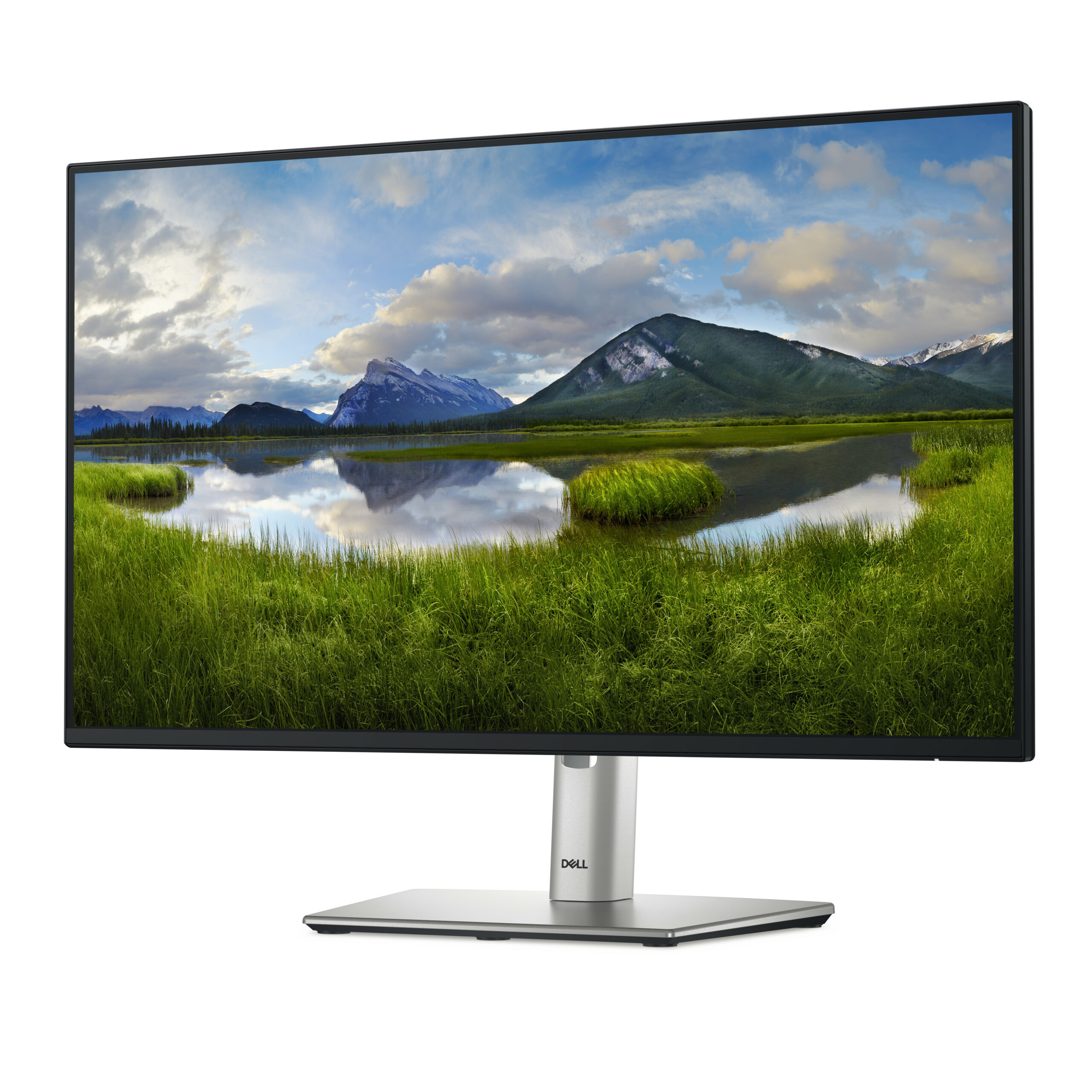 Dell 24 Inch Monitor P2425H